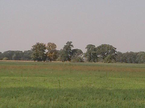 Bowers Rd., Lafayette, WI 53121
