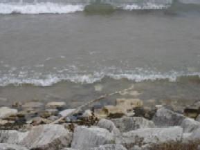 415 N Lake St. #503, Port Washington, WI 53074