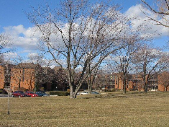 5200 S Tuckaway Blvd. #263 D, Greenfield, WI 53221