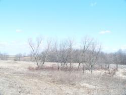 Apple Ln & County Rd J, Plymouth, WI 53073