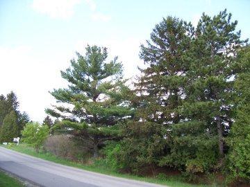 N9078 Townline Rd. #Lt1, East Troy, WI 53120