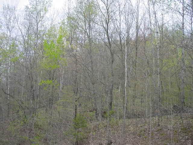 Helgeson Rd., Jefferson, WI 54667