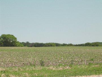 65 Acres Stringers Bridge Rd., East Troy, WI 53120