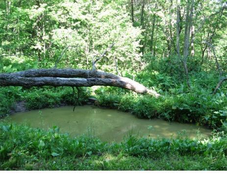 N3455 E Bluff Rd., Butler, WI 54746