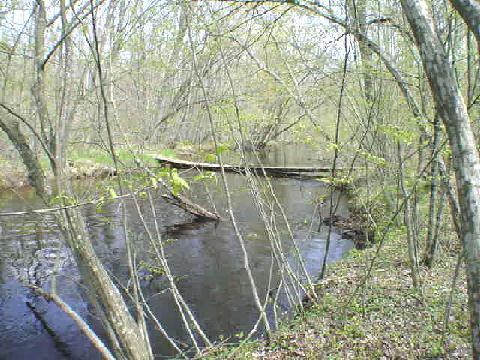 PCL1 Peshtigo Brook Rd., Maple Valley, WI 54174