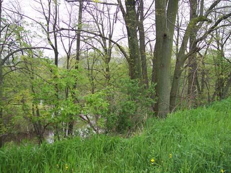 7.81 County Road Jm, Sheboygan Falls, WI 53085