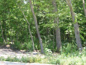 4755 W Woodland Dr., Franklin, WI 53132