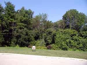 LT7 Willow Wood Estates, Mount Pleasant, WI 53403