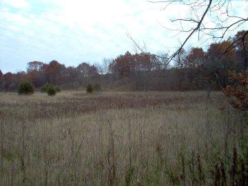 S1184 Townhall Rd., Dellona, WI 53944