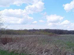 11 Acres Kettleview Rd., Mitchell, WI 53073