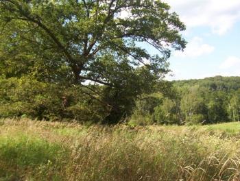 RR Monarch Rd., Glendale, WI 54638