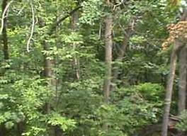 545 Meadow Ln., Elm Grove, WI 53122