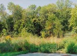 Pcl3 W Bridge St., Greenfield, WI 53221