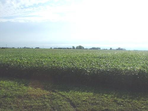 Mariondale Rd., Bloomfield, WI 53147