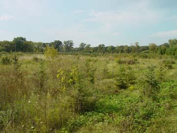 10233 W Oakwood Rd., Franklin, WI 53132