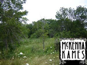 Lt27 Mckenna Kames, Richfield, WI 53017