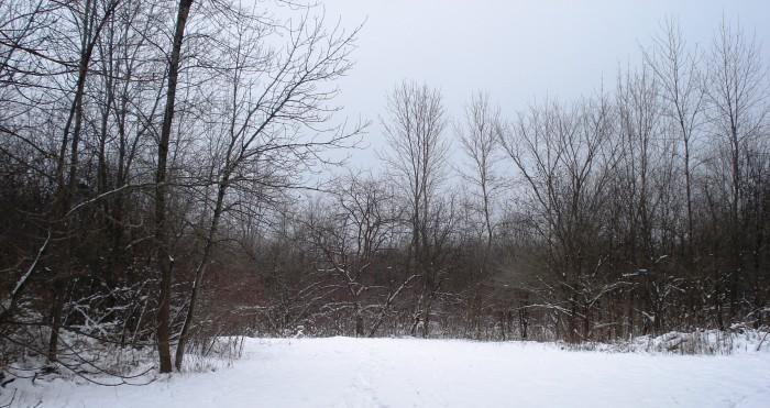 9090 N Range Line Rd., River Hills, WI 53217