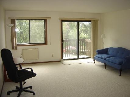 928 Wisconsin Ave. #207, Sheboygan, WI 53081