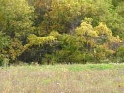 4435 Tennessee Rd., Caledonia, WI 53405