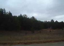 Bedford Rd., Little Falls, WI 54656