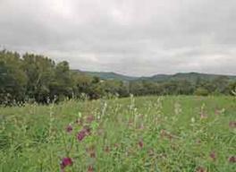 18530 Incline Rd., Adrian, WI 54648