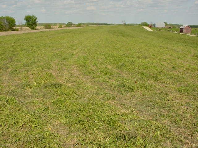 Highway 61, Clayton, WI 54655