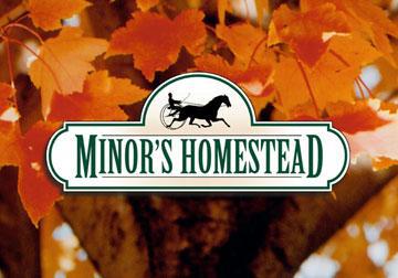 LT130 Minor's Homestead #Addition 3, Mukwonago, WI 53149