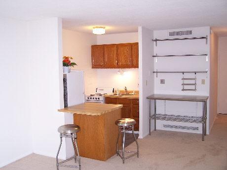 1409 N Prospect Ave #403, Milwaukee, WI 53202