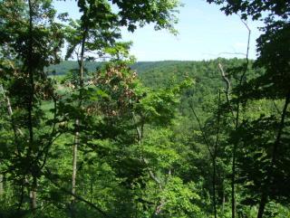 Del La Mater Rd., Clayton, WI 54631