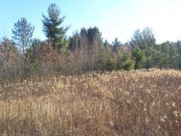W6615 Poertner Rd., Levis, WI 54456