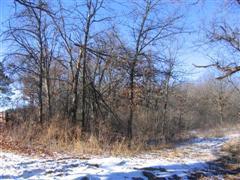 W6403 County Road T Parcel #3, Holland, WI 54636