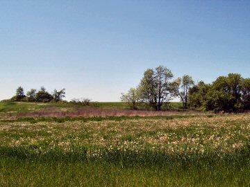 Lt20 Hickorywood, Oconomowoc, WI 53066