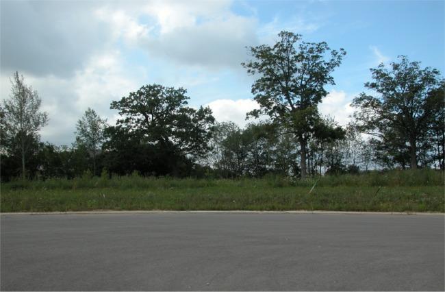 Lt116 Watercrest Ct., Elkhorn, WI 53121