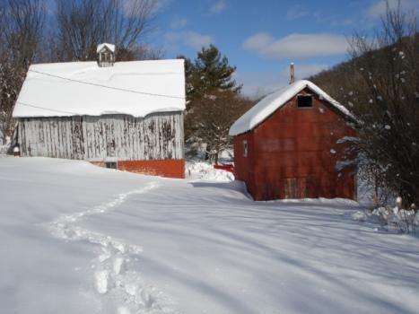 W County Road Fo, Shelby, WI 54601