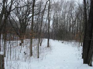 Lt3 Sleepy Hollow, Greenfield, WI 53913