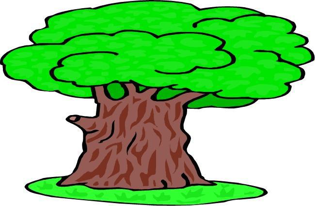 Sedgemeadow  St., Elkhorn, WI 53121