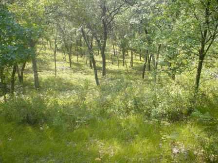 LOT 1 County Highway I, Lafayette, WI 54656