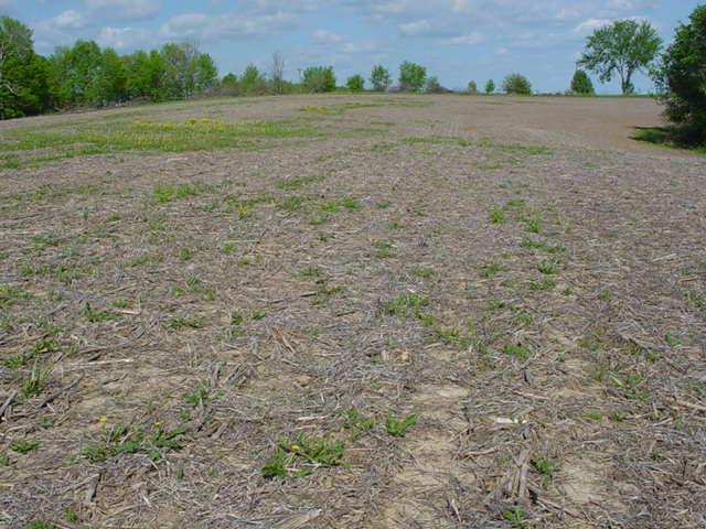 Highway 61, Clayton, WI 54655