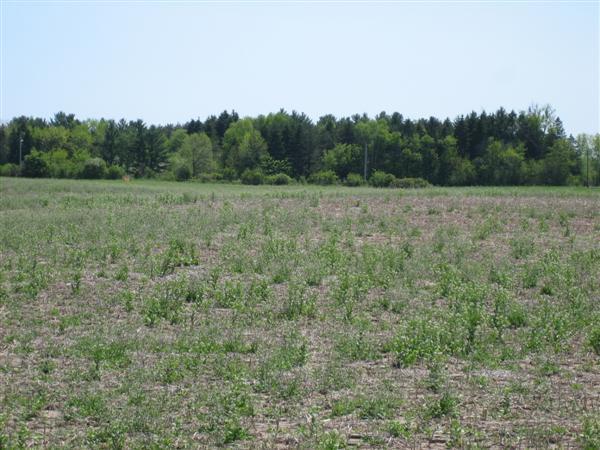 Lot 9 Palmer Dr., Sheboygan, WI 53083