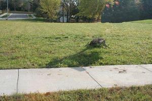 Lt2 Center St., Hartford, WI 53027