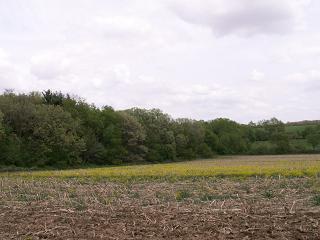 Lt1 Buss Rd., Turtle, WI 53511