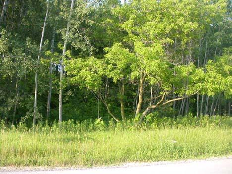 Lot #3 Summit Woods Ln., Plymouth, WI 53073