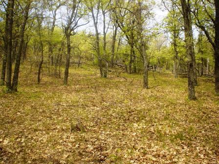 Canary Ave., Little Falls, WI 54620