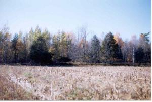 Cth T, Franklin, WI 54247