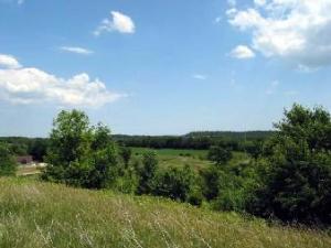 LT0 Lenz Rd., Liberty, WI 54245