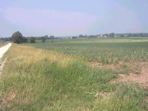 Brodtke Rd., Cato, WI 54230