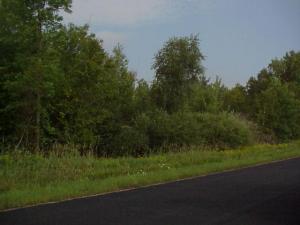 Fogeltanz Rd., Franklin, WI 54247