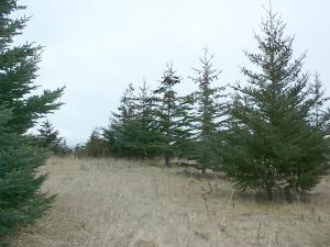 Tannery Rd., Two Rivers, WI 54241