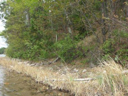 16543 E Bass Lake Rd., Townsend, WI 54175