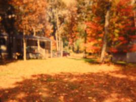 957 Ember Ave., Easton, WI 53910